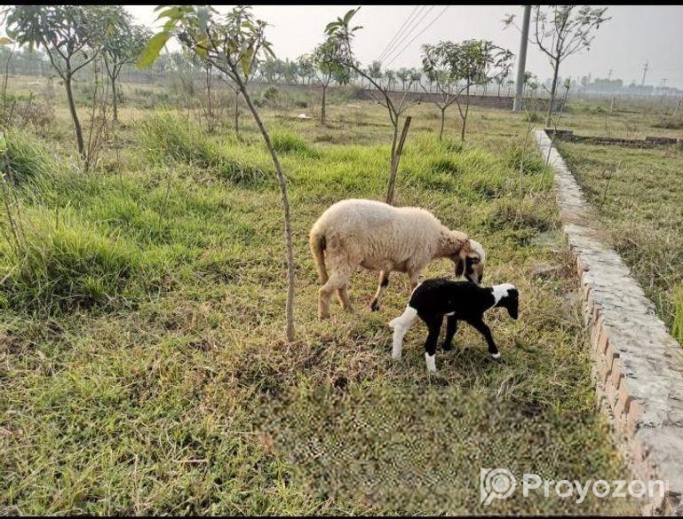 Land Sell
