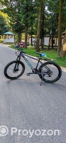 Phoenix Bicycle