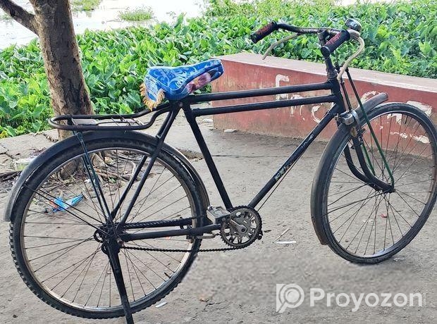 Phonenix Cycle