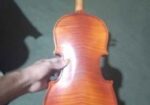 Violin