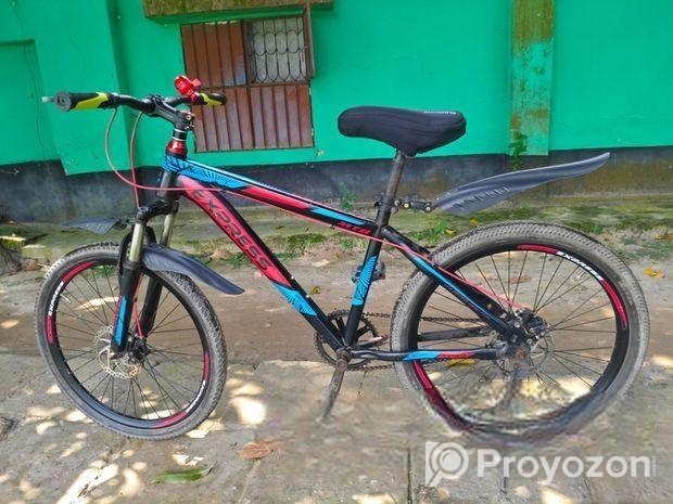 Express Bicycle