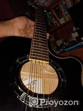 Guitar Winfer China
