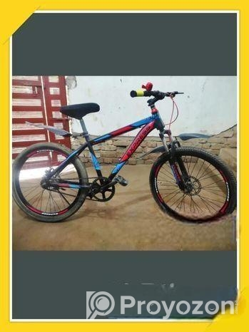 Express Bicycle