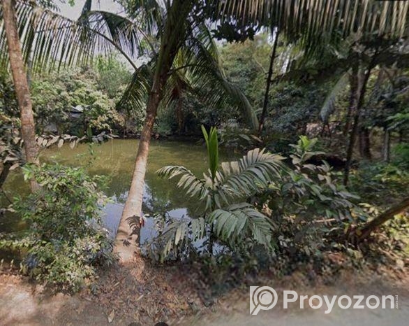 Land for sell