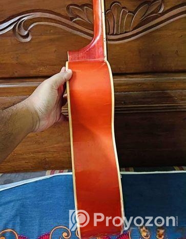 Tgm Guitar