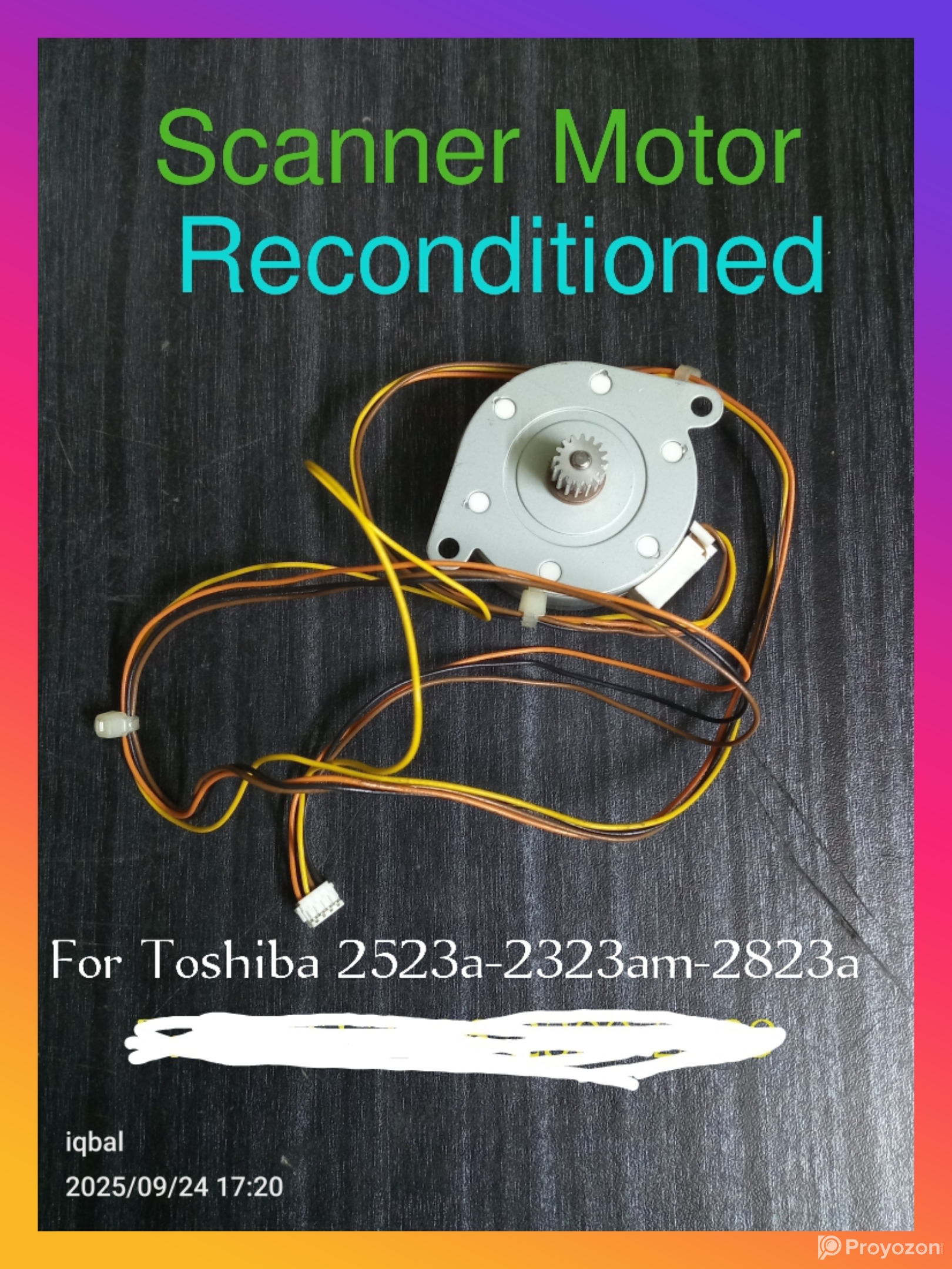Scanner Motor