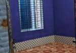 House Rental