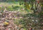 Land Sale Natullabad Barishal