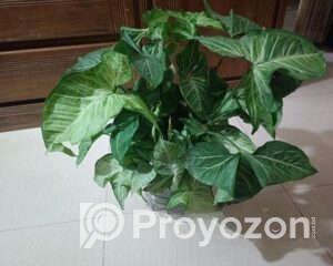 fitted-2025-11-01T121513.460_2025-11-01_12-16-11