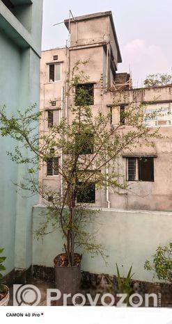 ছাদ বাগানের গাছ বিক্রি