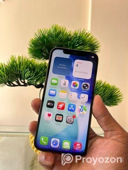iPhone 12 Pro