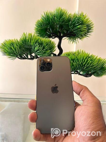 iPhone 12 Pro