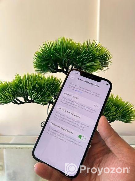 iPhone 12 Pro