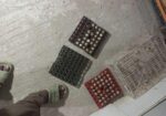 জাপানি কোয়েল পাখির ডিম বিক্রি হবে