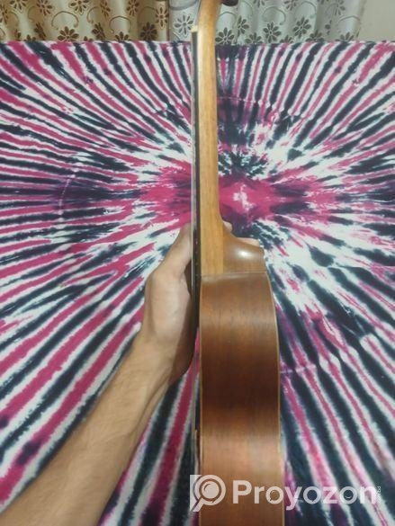 Ukulele Guiter
