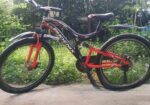 Phoenix Cycle ( Non-gear )