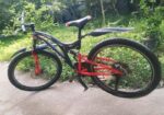 Phoenix Cycle ( Non-gear )
