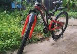 Phoenix Cycle ( Non-gear )