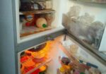 Walton Fridge