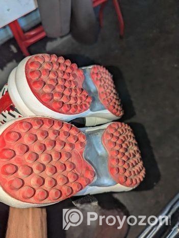 Cricket Spike