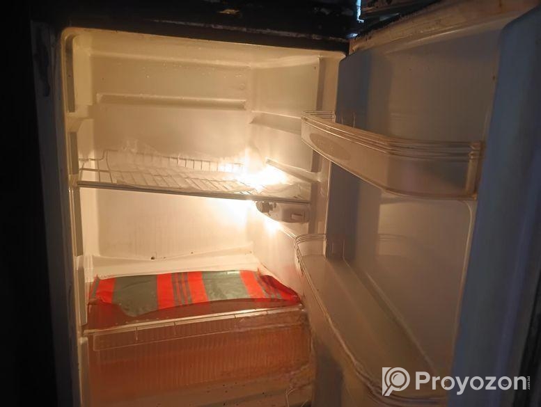 Singer Fridge