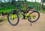 Phoenix Bicycle