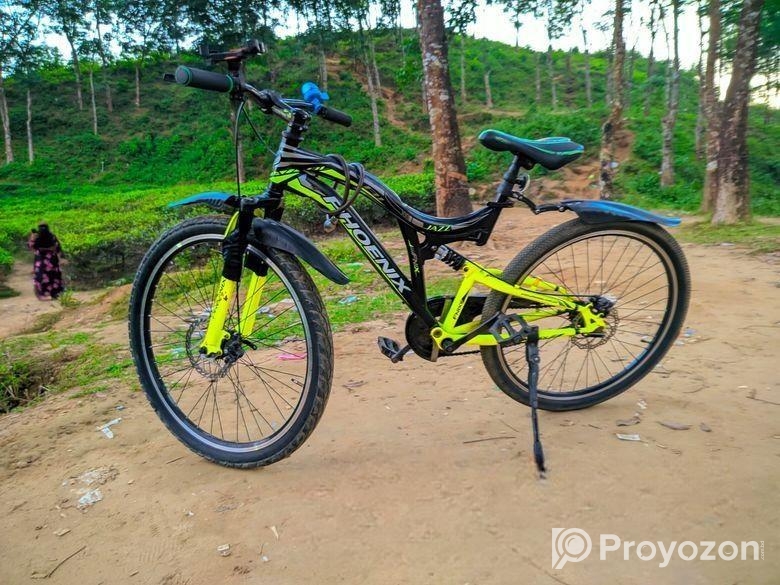 Phoenix Bicycle