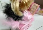 Musical Baby Doll