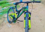 Phoenix Bicycle