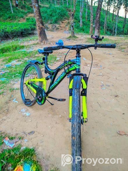 Phoenix Bicycle