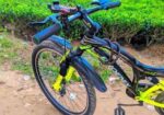 Phoenix Bicycle