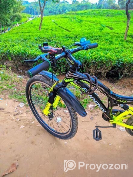 Phoenix Bicycle