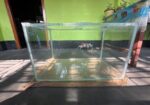 Aquriam