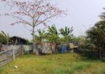 সম্পূর্ণ স্কোয়ার জমি