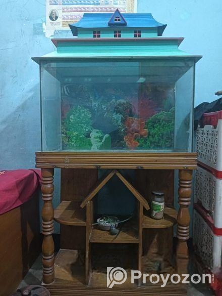Aquarium