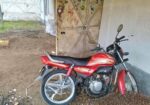 Hero HF Deluxe . 2019
