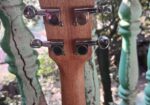 SAS ukulele