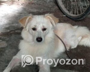 fitted-54_2025-11-02_09-55-38