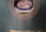 (Signature Guitar) বিক্রি হবে!