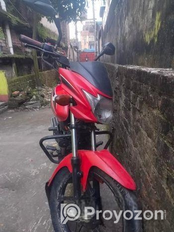 Suzuki Hayate 2021