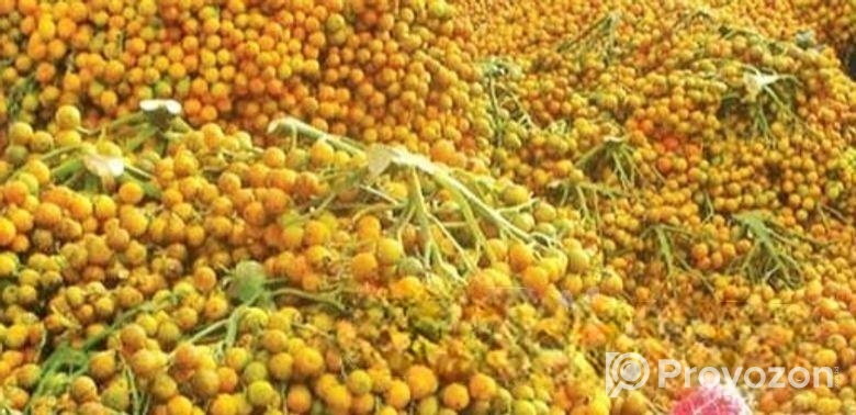সুপারি