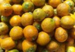 সুপারি