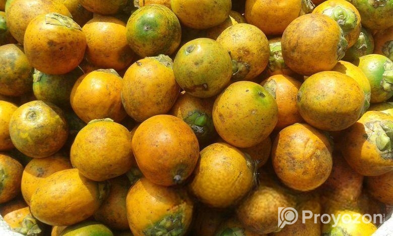 সুপারি
