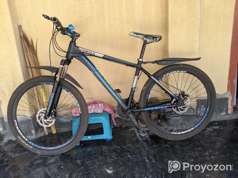 Phonix Gear Bicycle