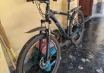 Phonix Gear Bicycle