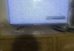 sony bravia