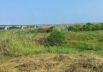 ১০ কাঠা জমি বিক্রি করা হবে