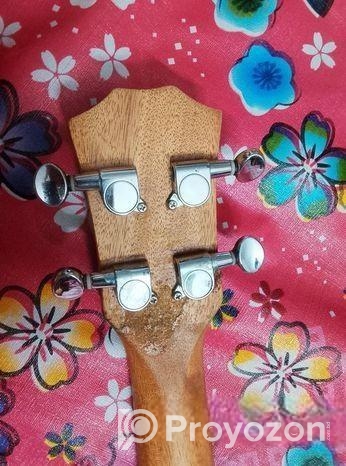 Ukulele for sale