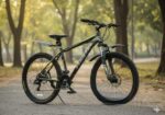 PHONIX FRESH CONDITION GEAR CYCLE