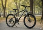 PHONIX GEAR CYCLE